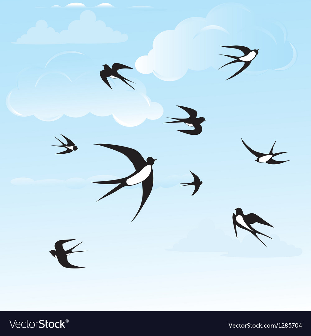 Птицы в небе летают вектор