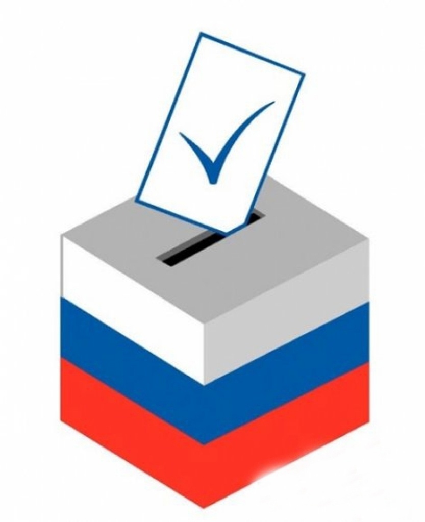 Выборы символ