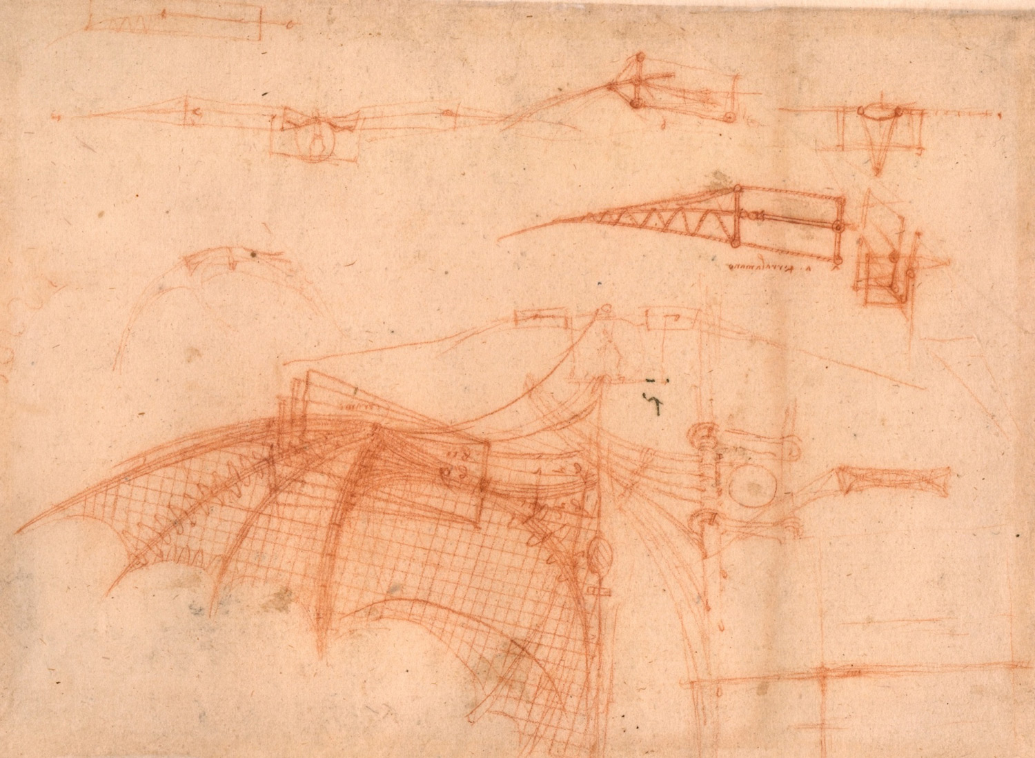 Прототип самолета Леонардо да Винчи