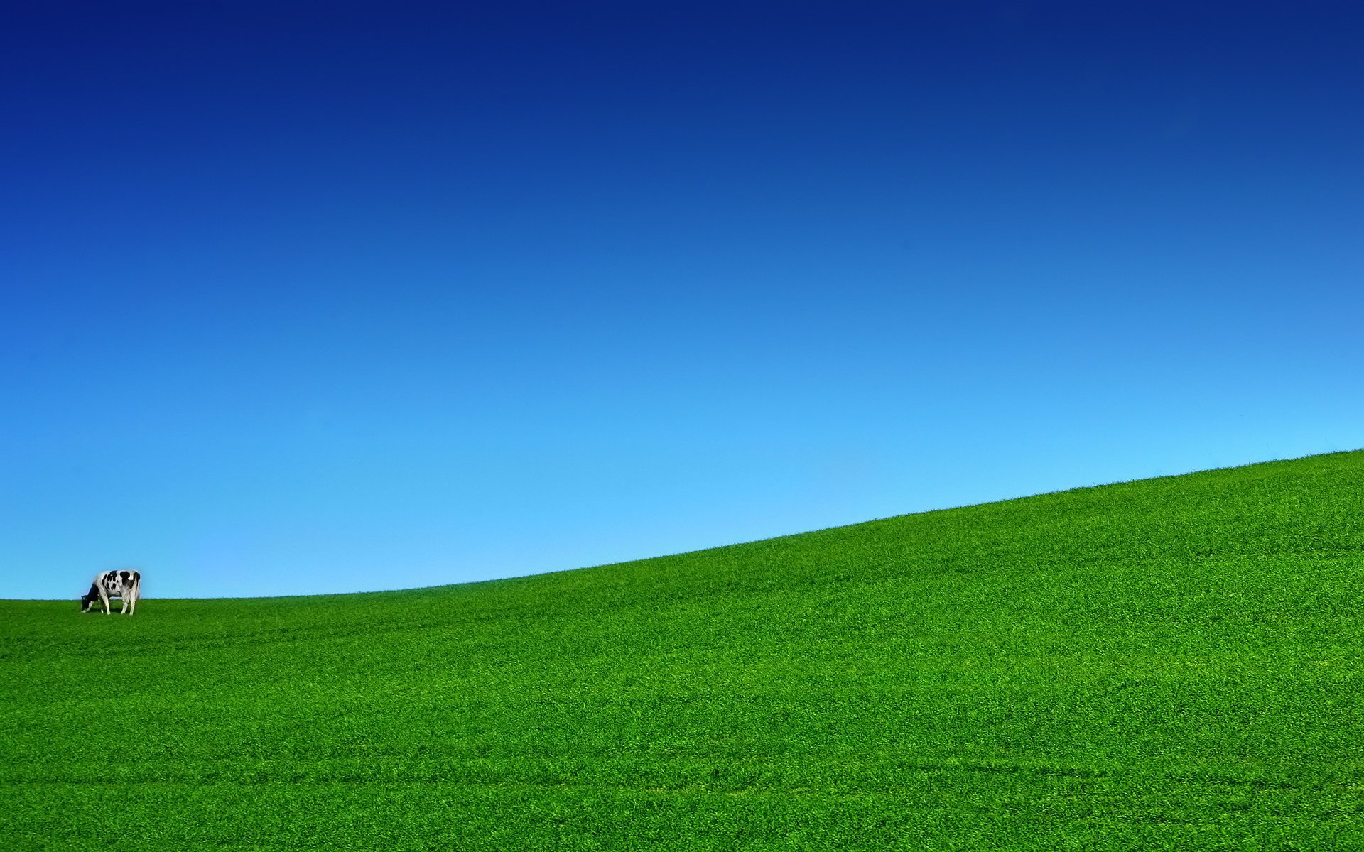 Песня голубое небо зеленая трава. Зеленое поле. Зеленое поле голубое небо. Трава поле. Зеленый луг.