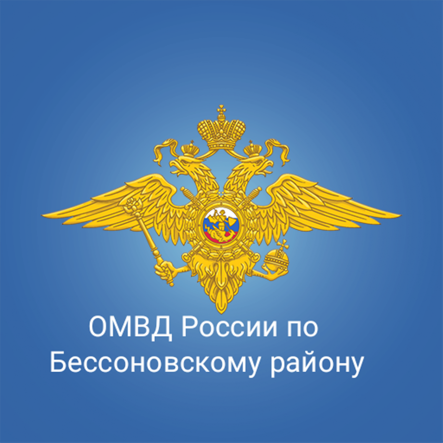 Министерство внутренней безопасности россии