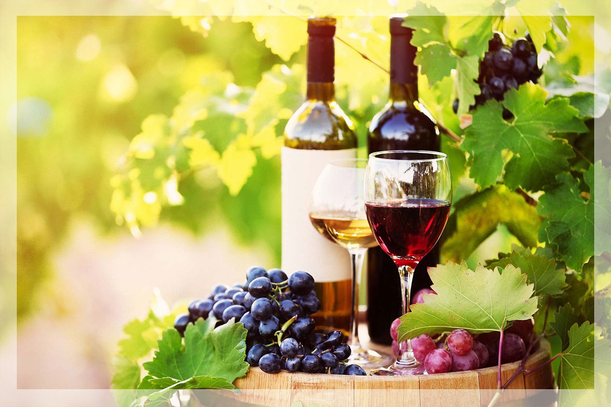 Виноградная Долина вино