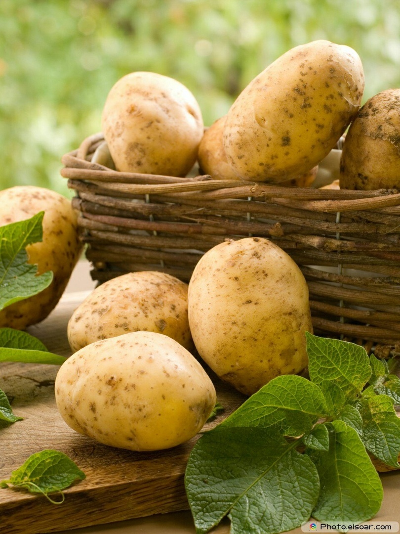 красивое фото картофеля