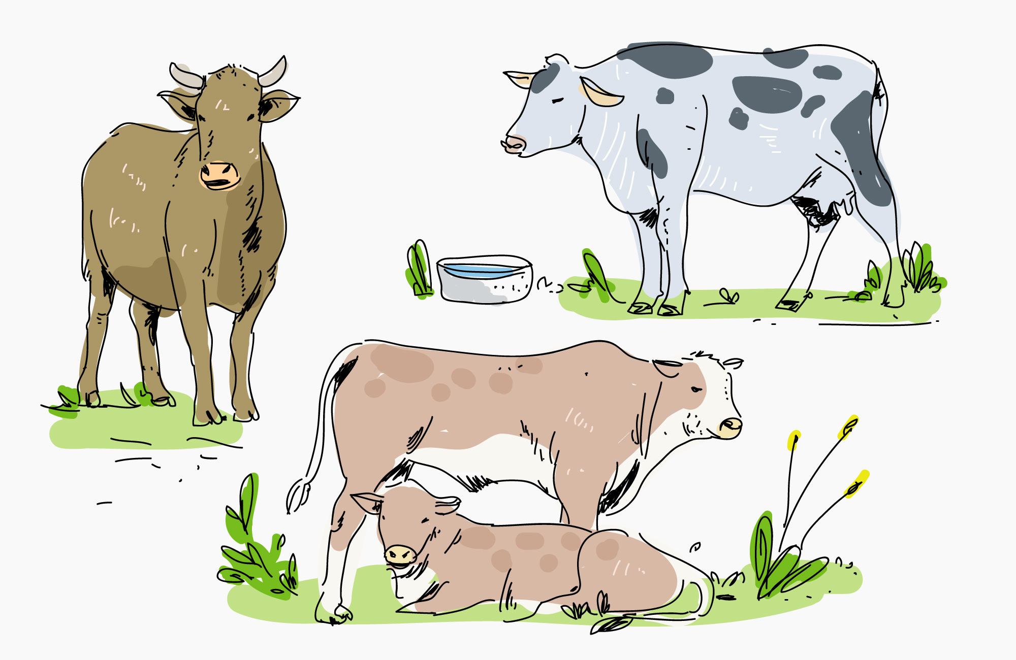 Сельскохозяйственные животные рисунок