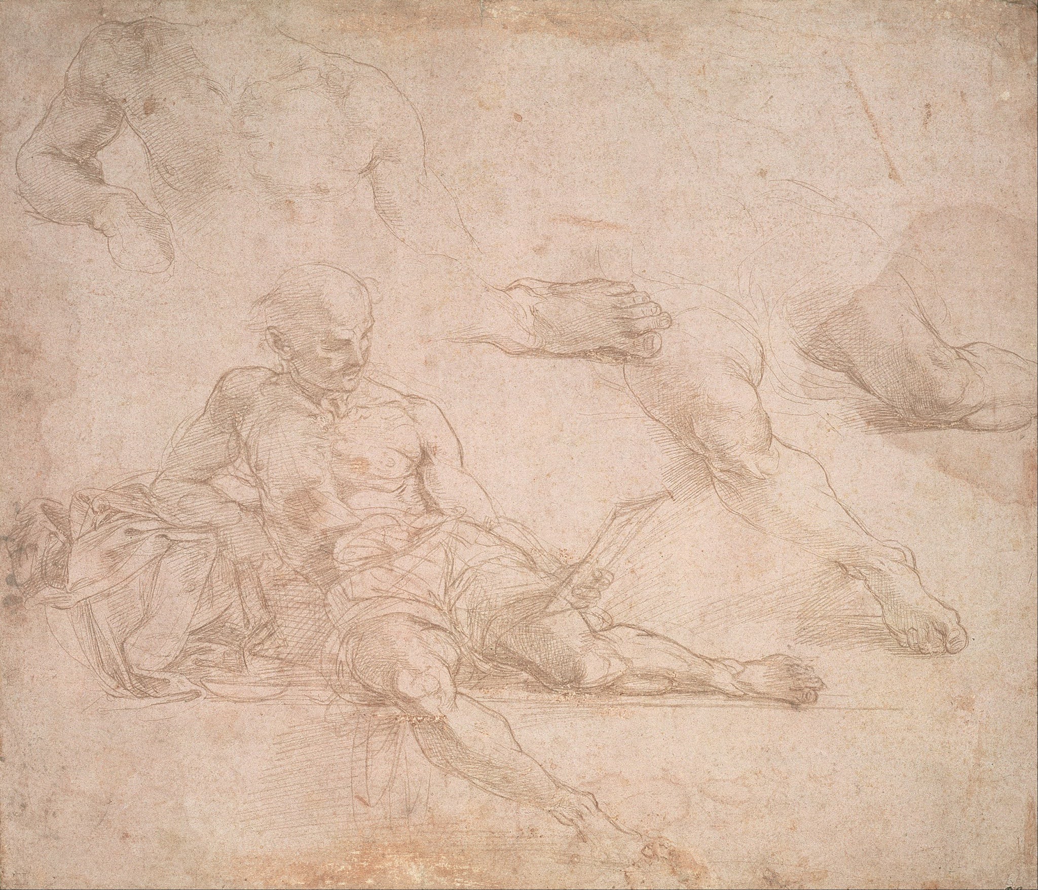 Эпоха Возрождения фон Микеланджело