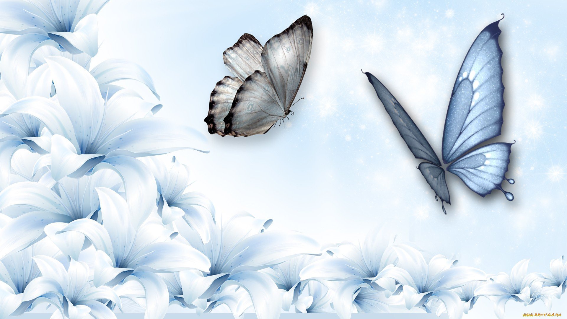 Красивые обои с бабочками
