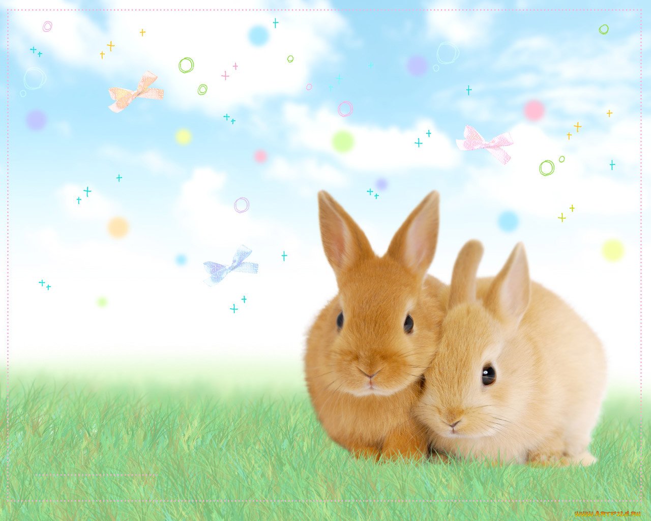 Обои крольчата