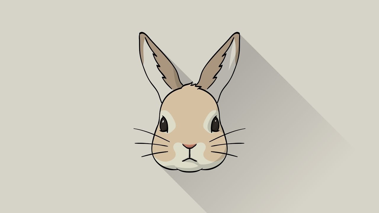 Иллюстратор кролик