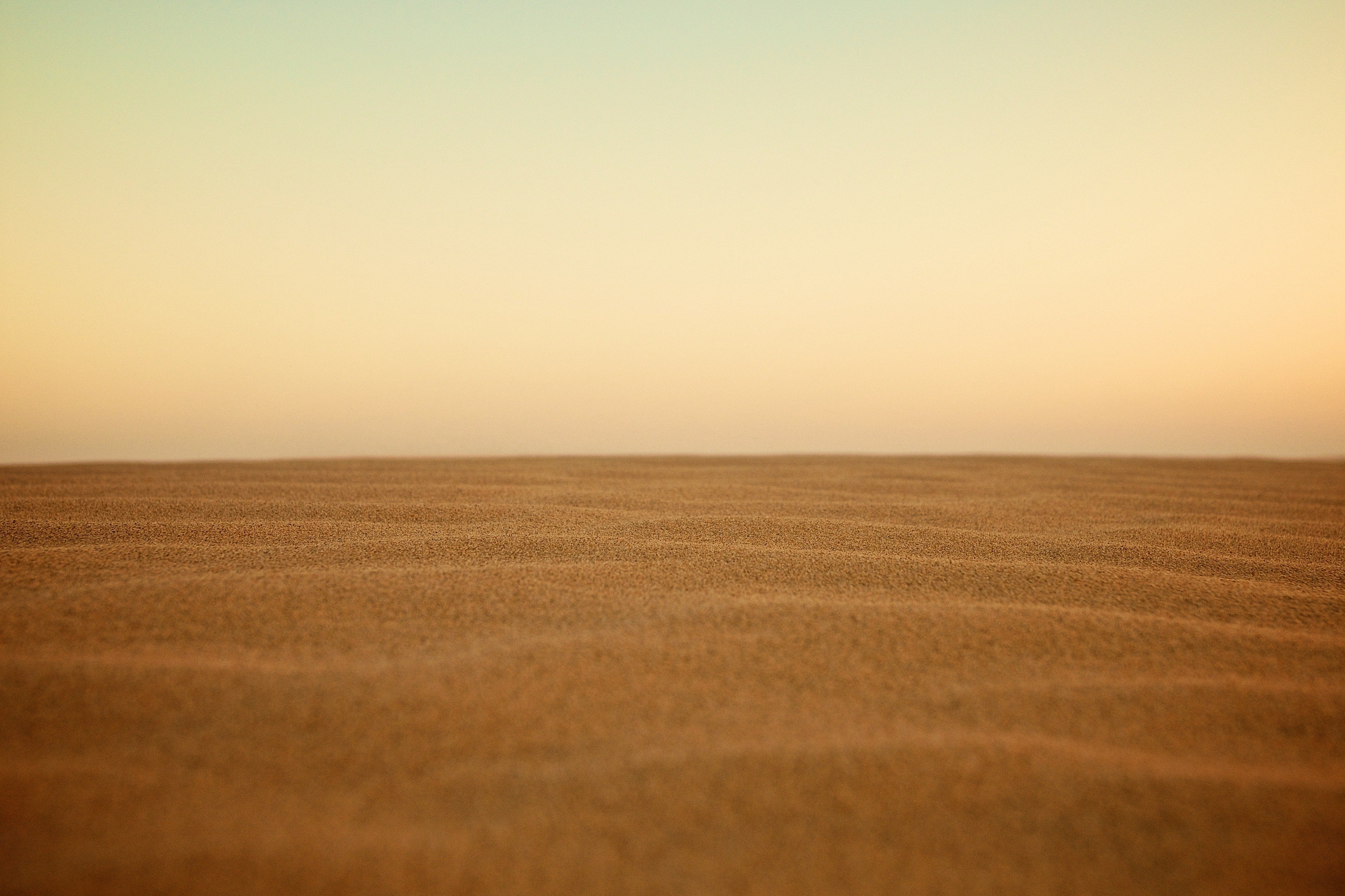 Пустынное поле