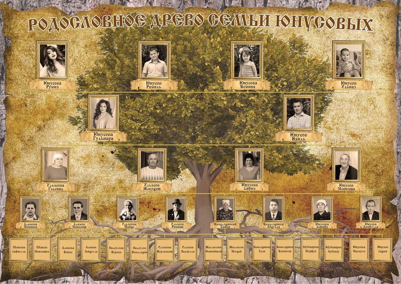 Пример генеалогического древа семьи. Семейное Древо семьи Адамс. Фэмили Древо Фэмили генеалогическое. Родовое Древо Бенуа. Генеологичне дерево.