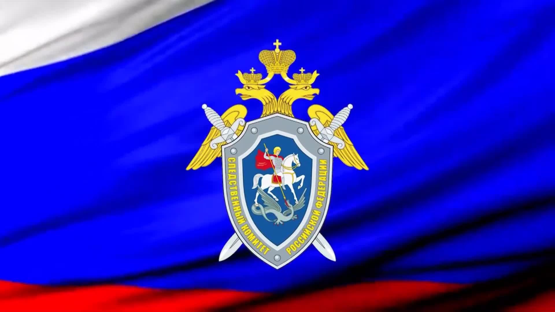 Флаг СК РФ