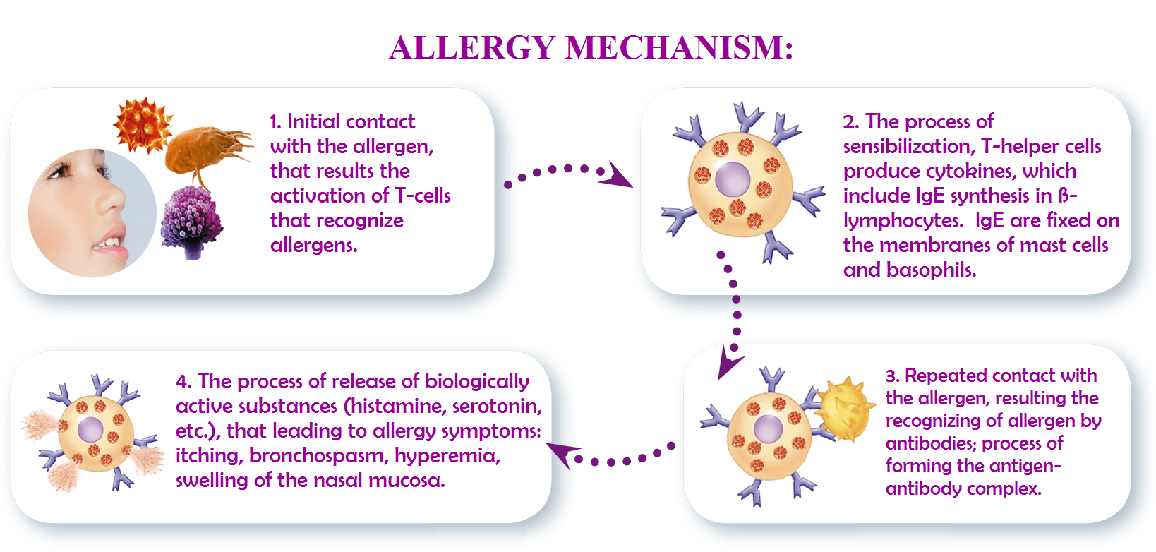 Презентация на тему аллергия.