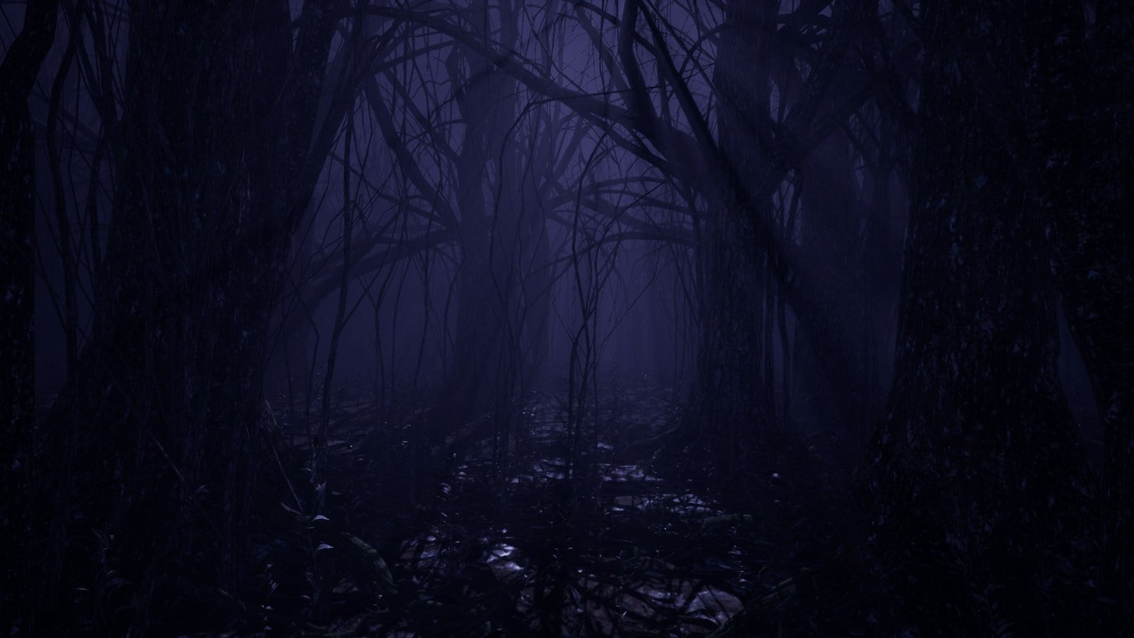 Лес темный пустой