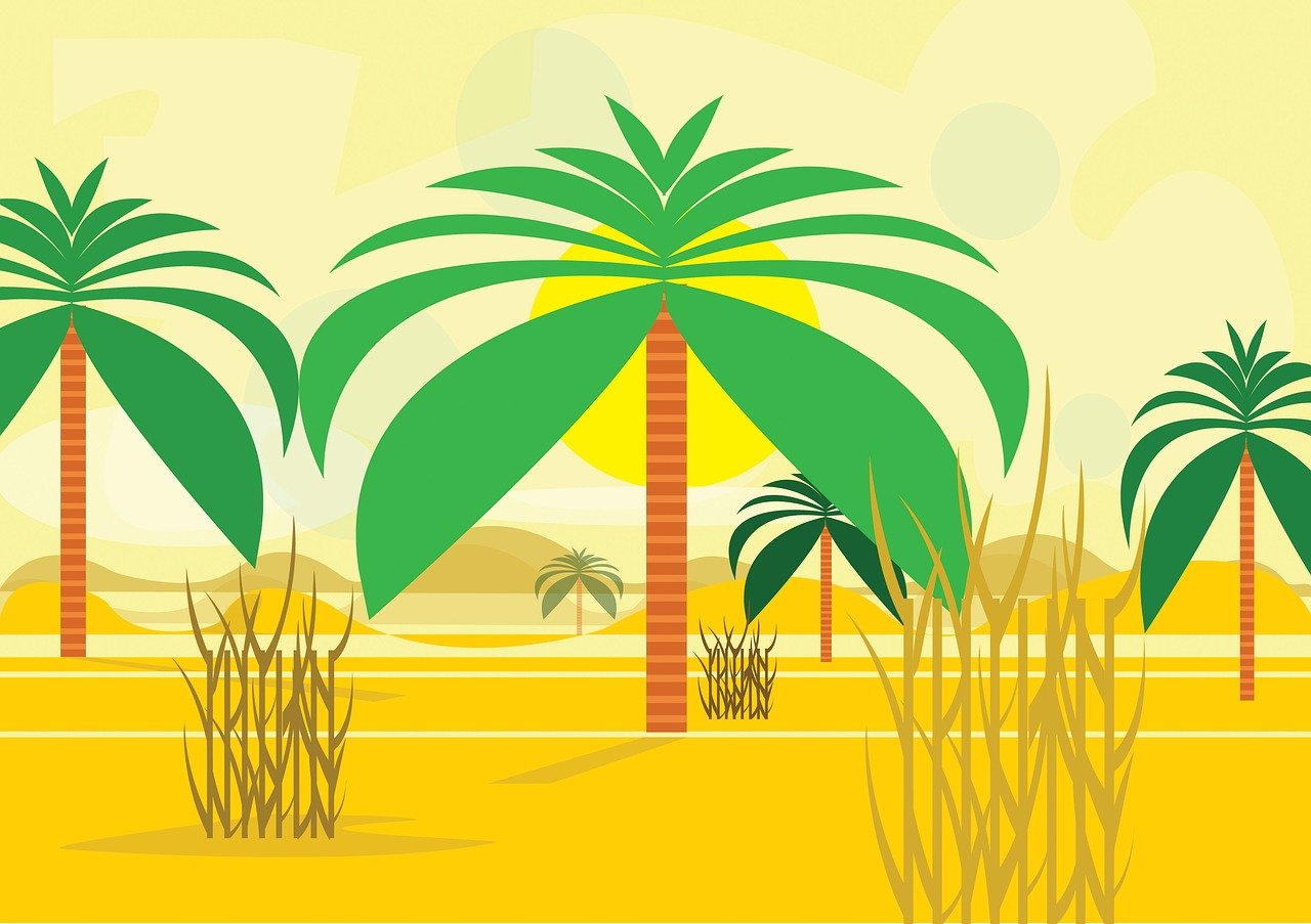Пальмы в Африке