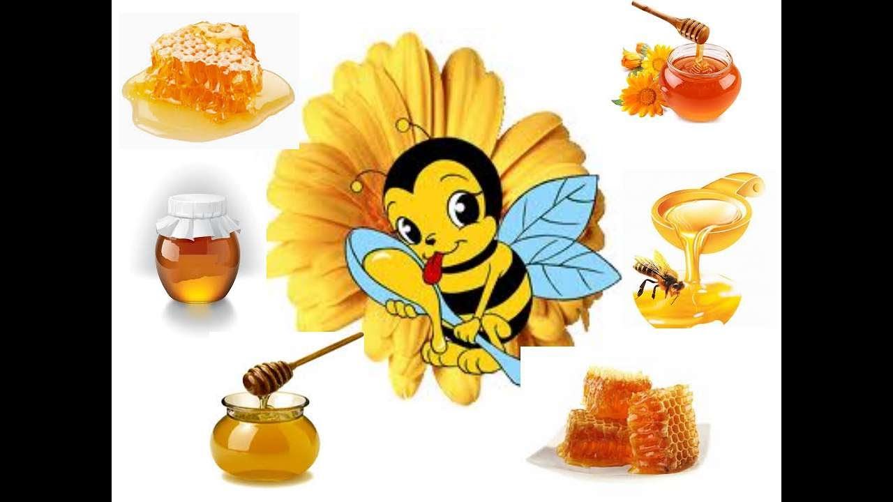 Мед и пчелы