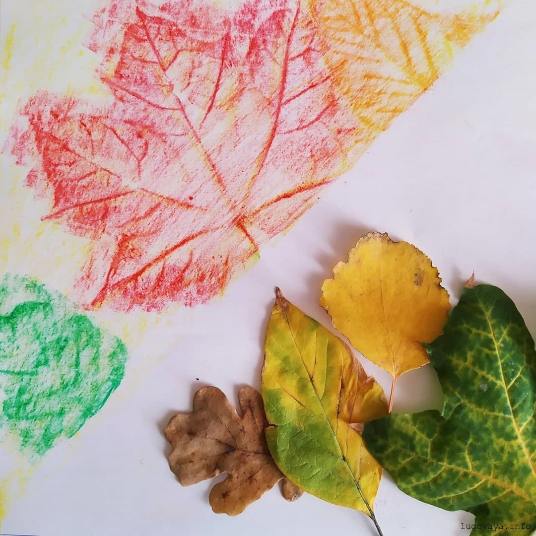 «Осенние листья» Отпечатки листьев
