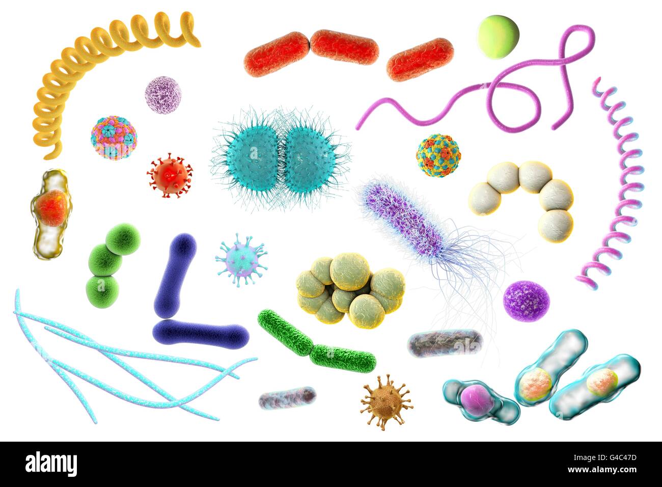 Бактерии коллаж