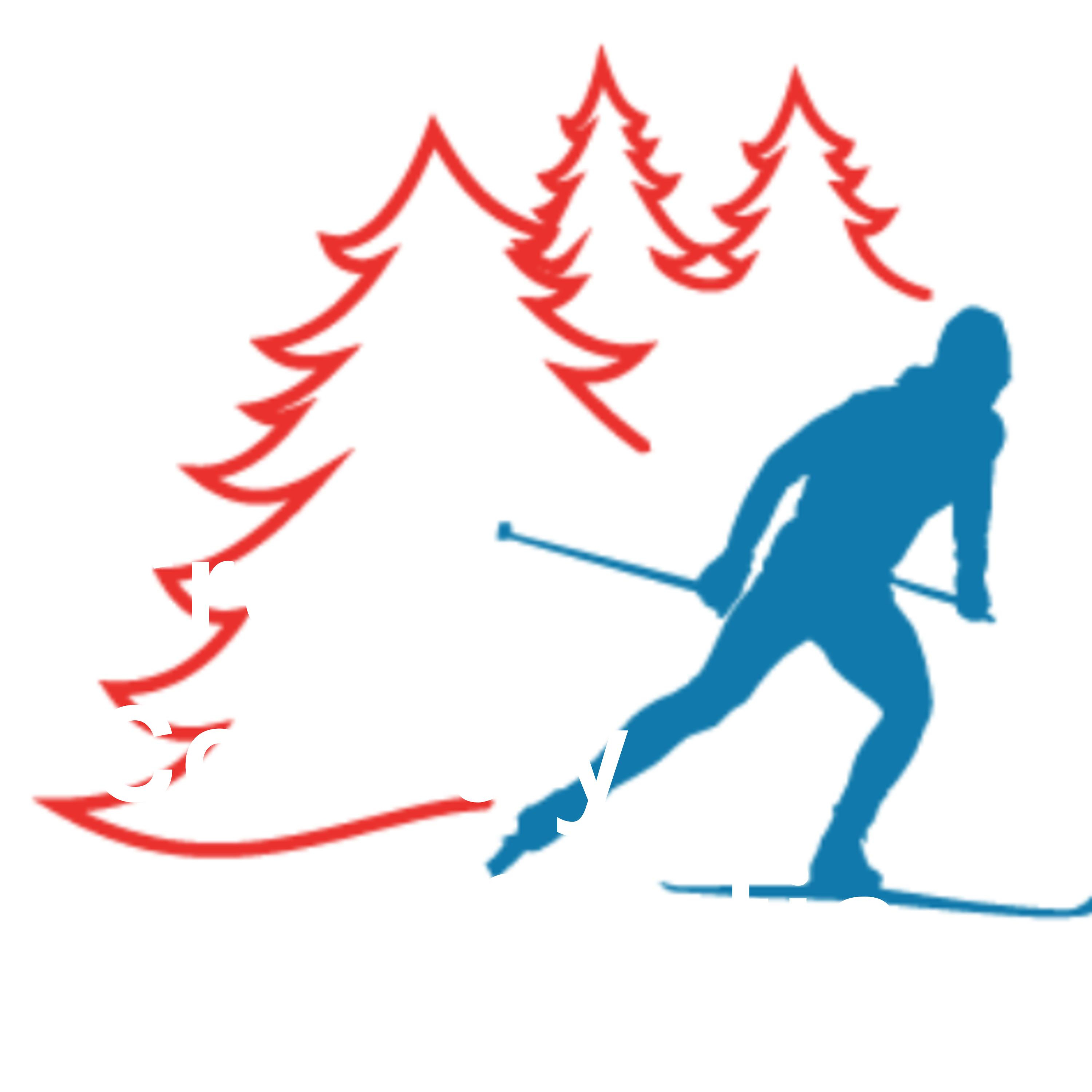 Лыжник логотип