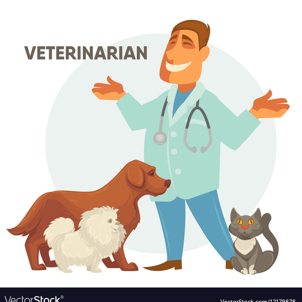 Ветеринар векторное изображение