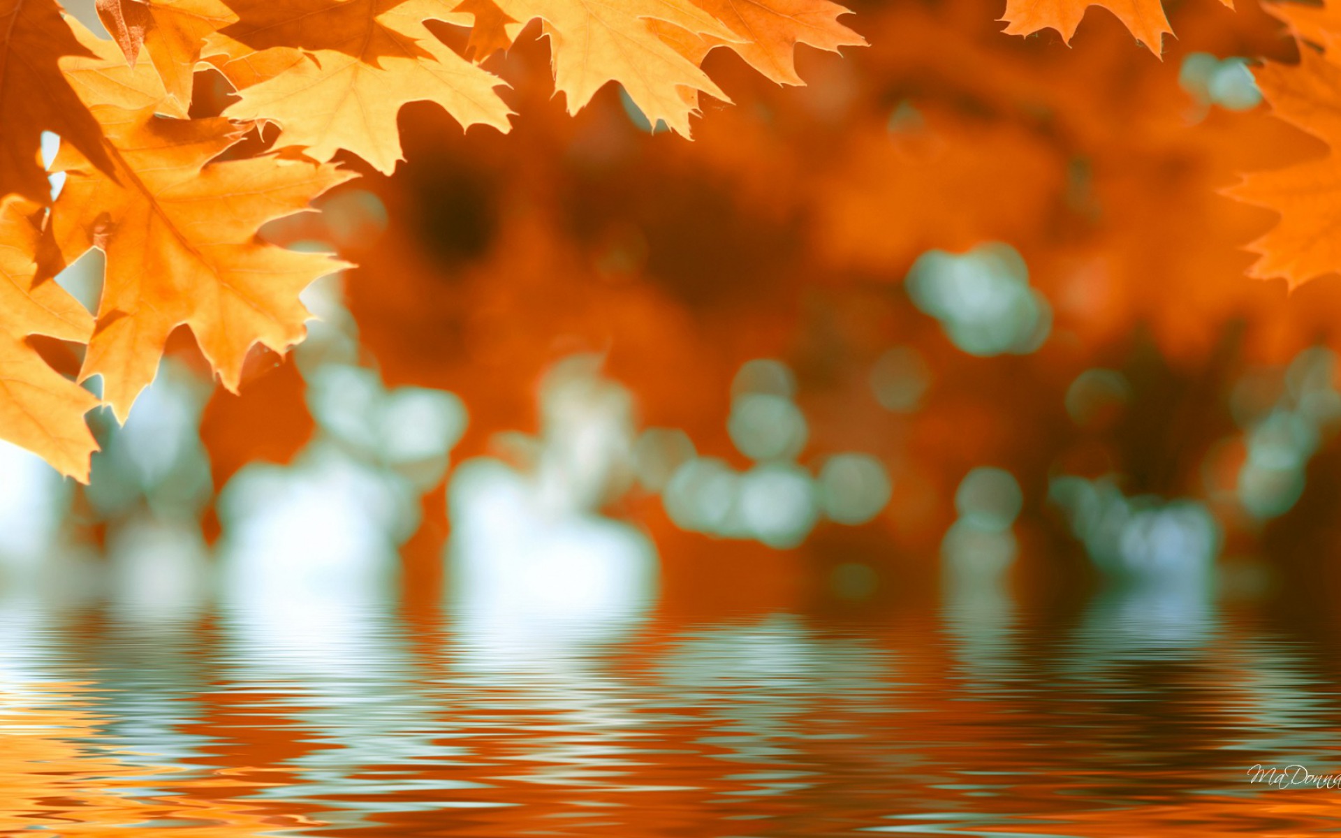 Осенние листья на фоне реки