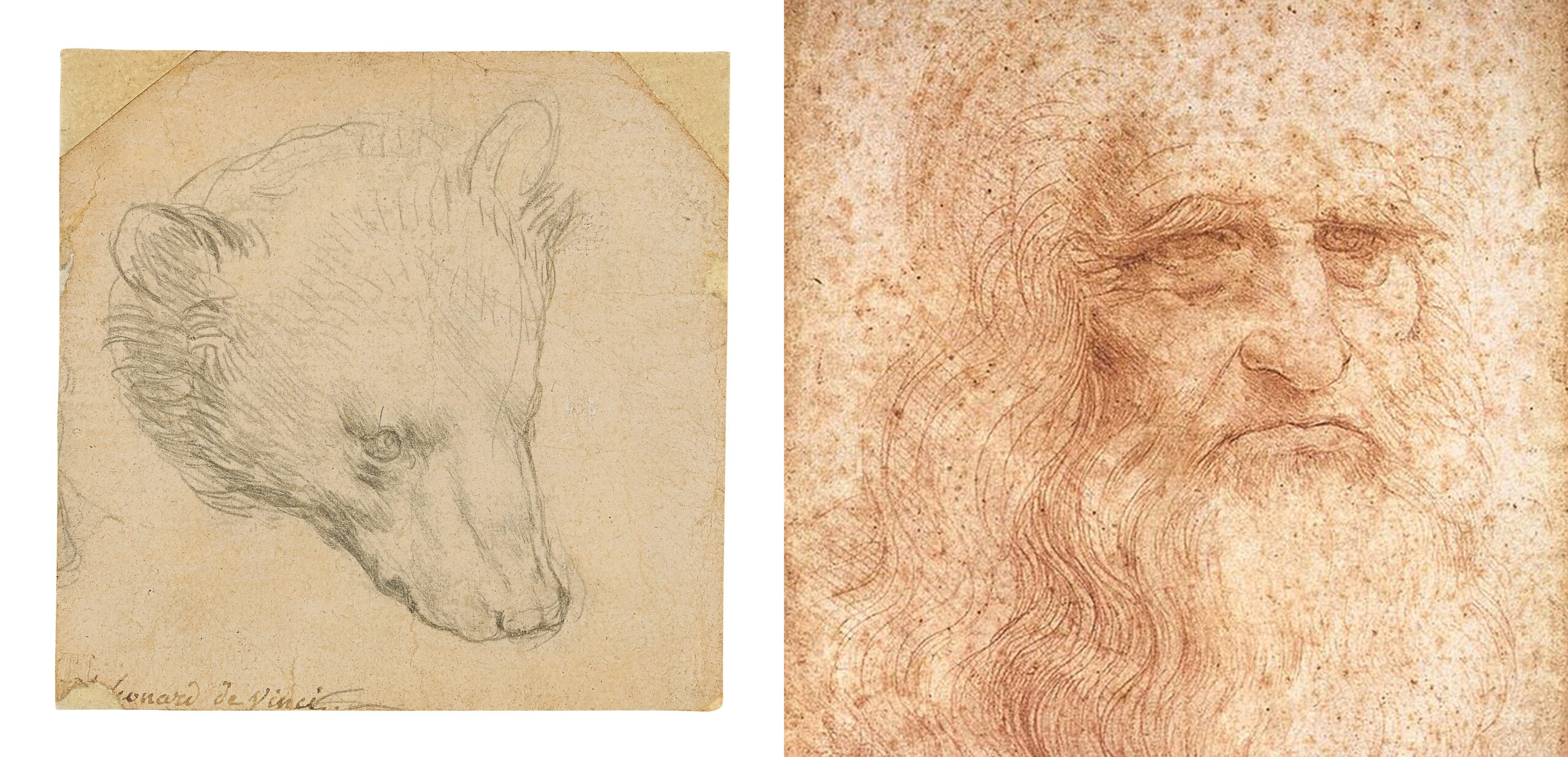 Леонардо да Винчи (1452-1519)