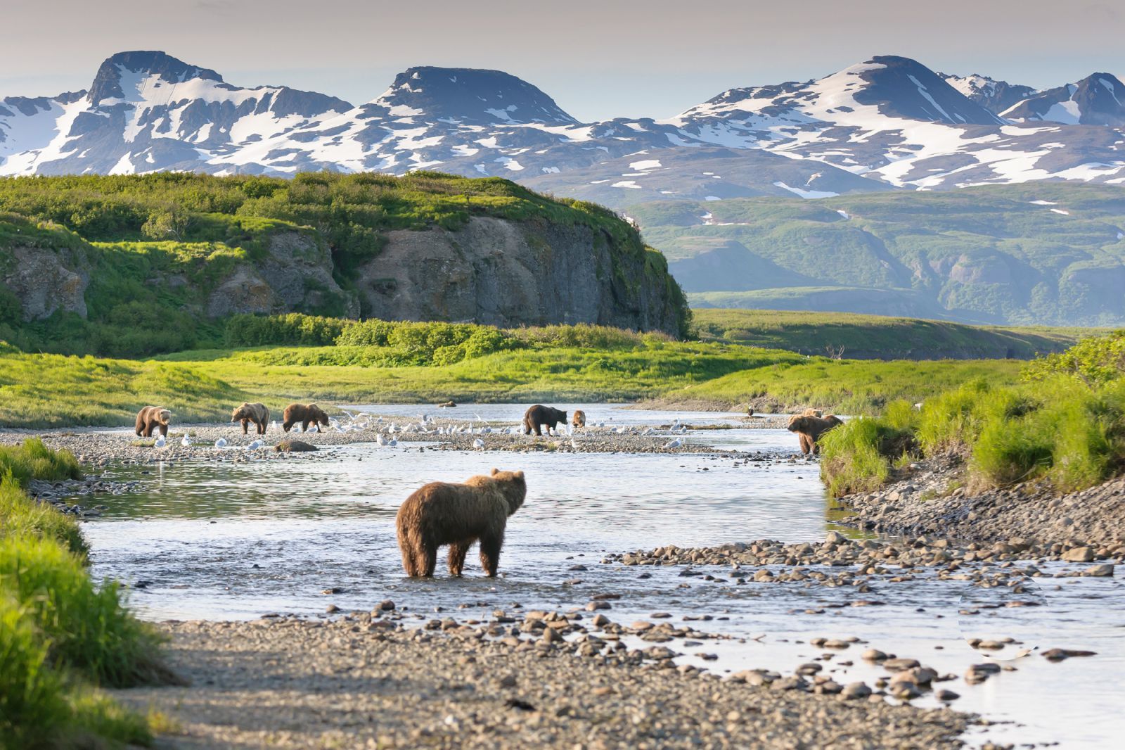 Национальный парк Катмай Аляска