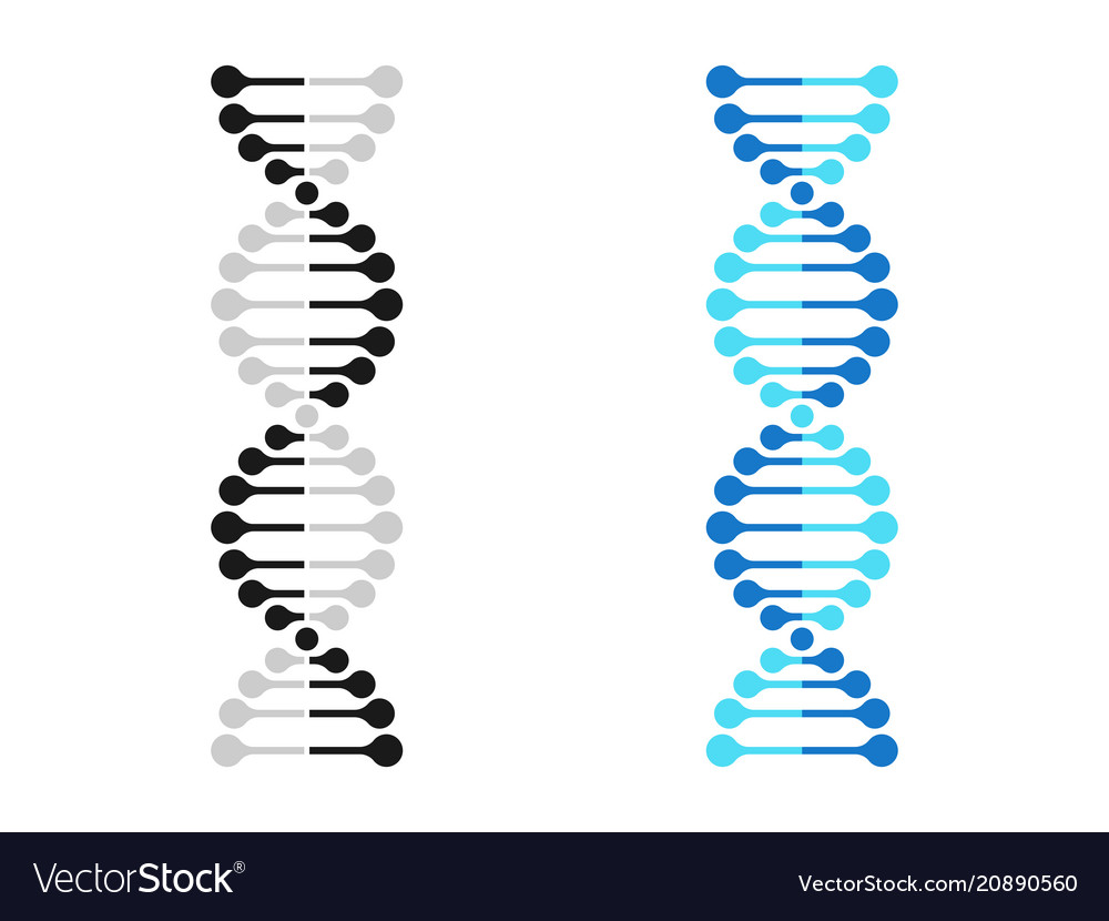 ДНК Графическое изображение