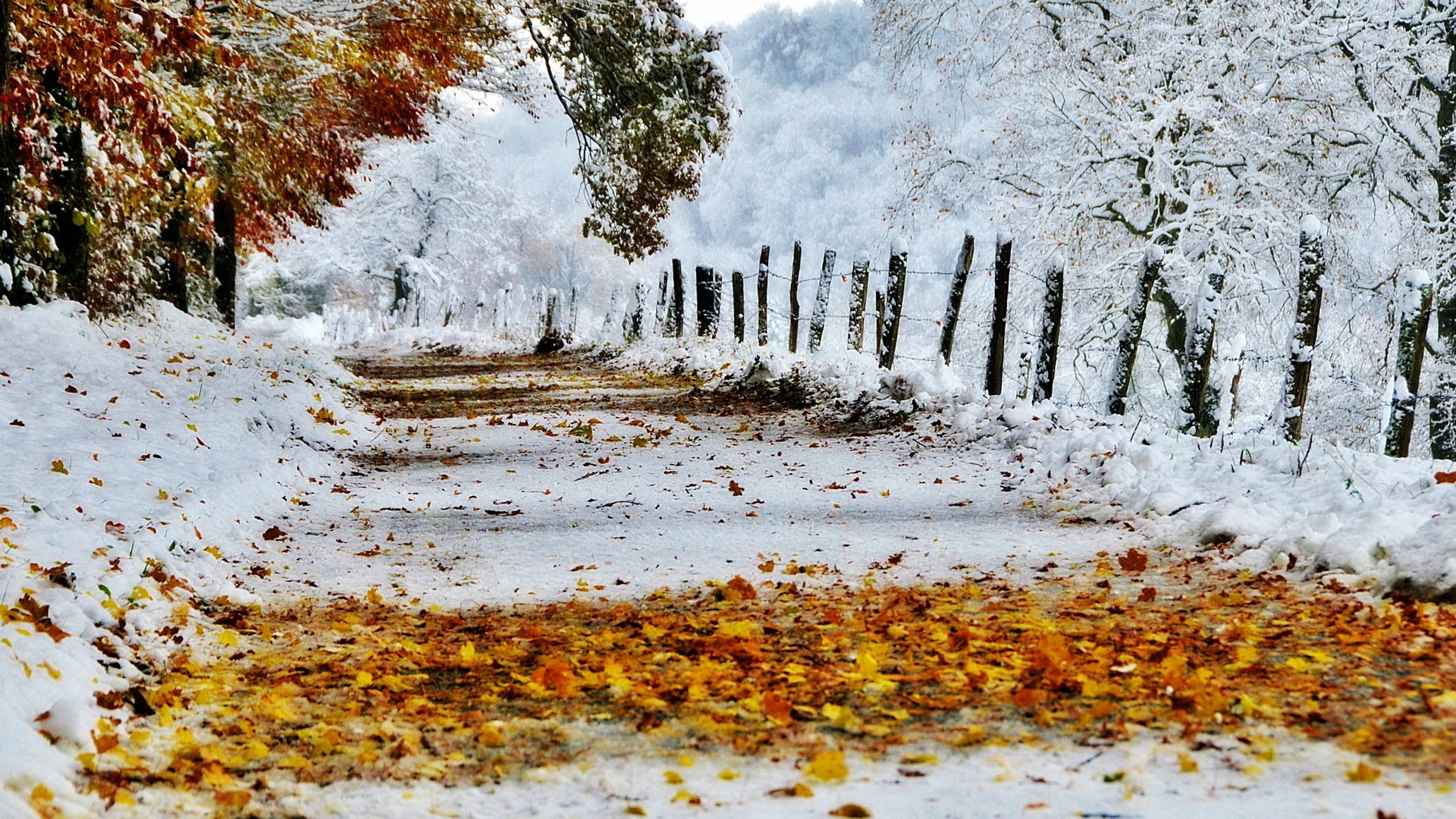 Поздняя Осень Начало Зимы