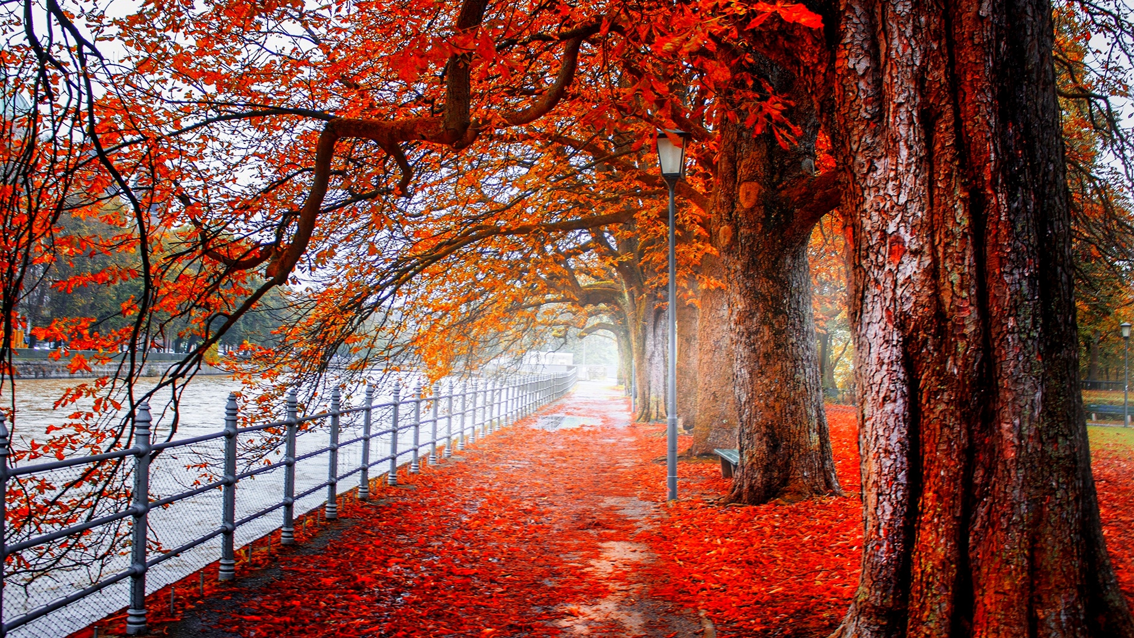 Осень красная парк
