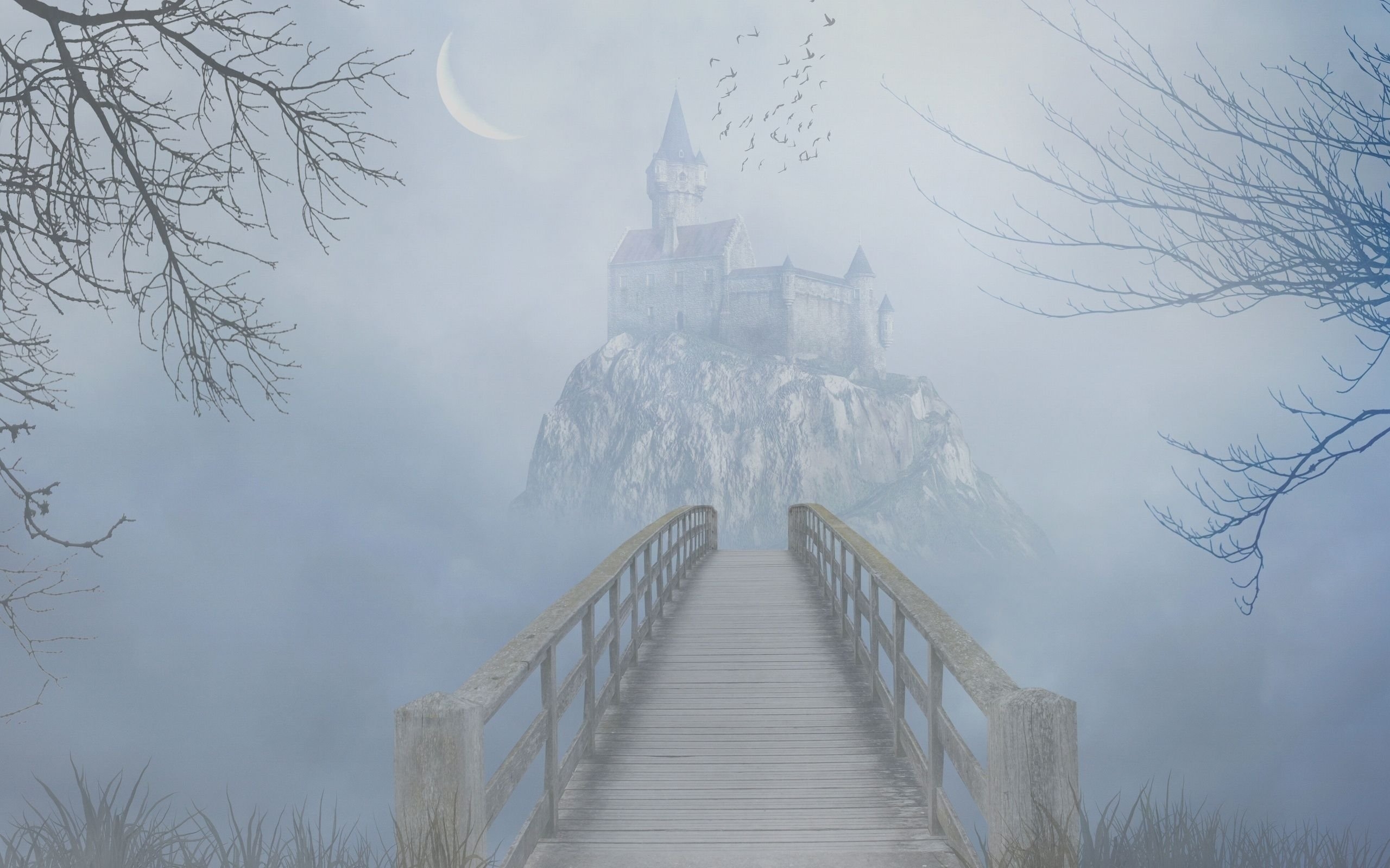 Сказочный замок в тумане