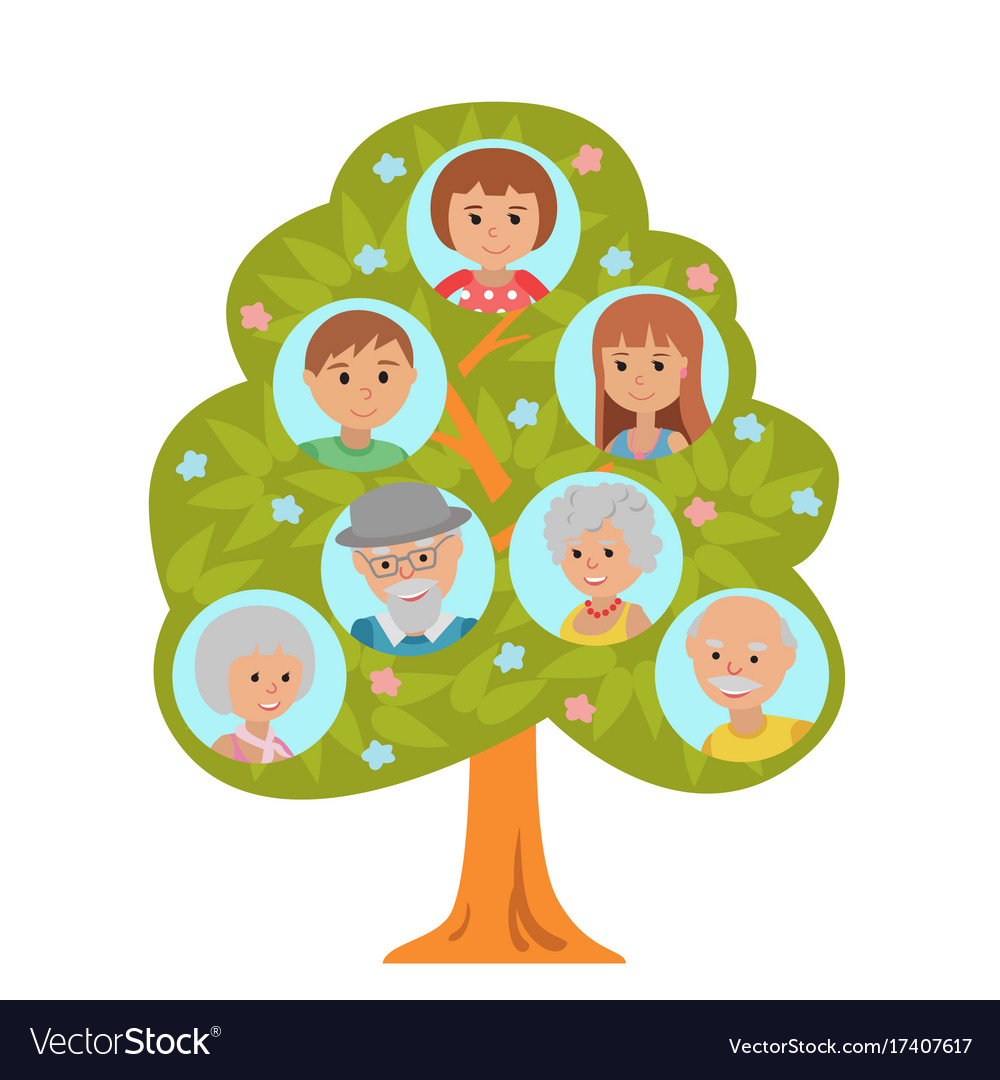 Семейное дерево до бабушек и дедушек