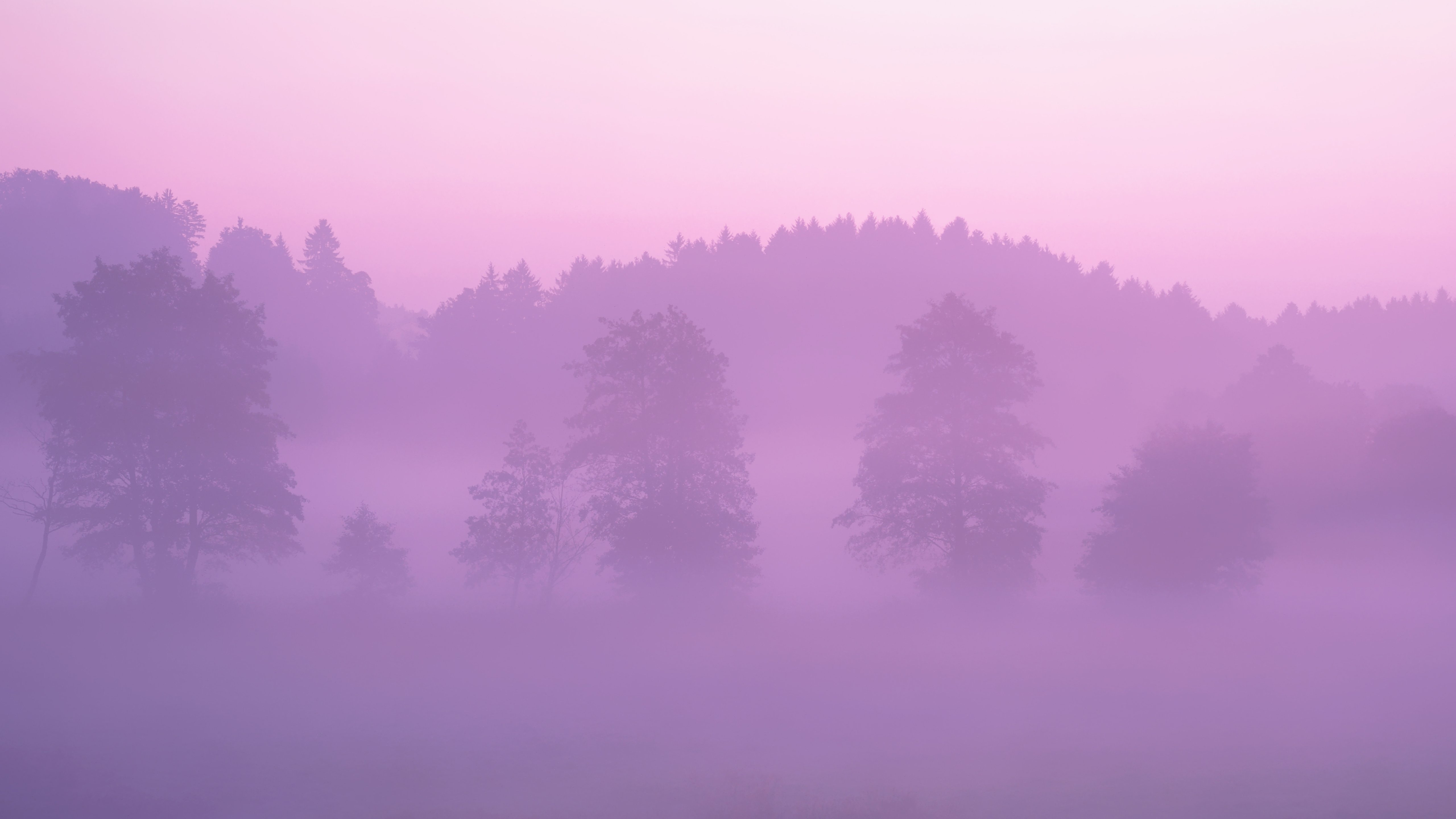Дым бледно розовый рассвет. Туманный лес. Туманный пейзаж. Пейзаж в пастельных тонах. Фиолетовый туман.