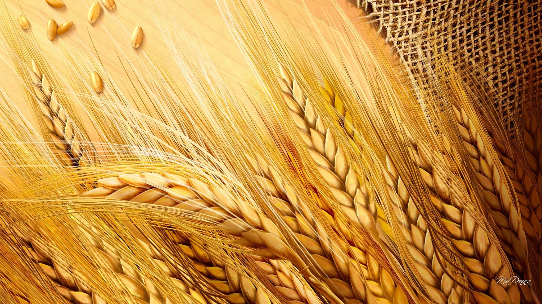Хлеба зерновые культуры
