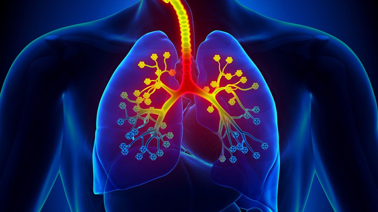 Патология органов дыхания