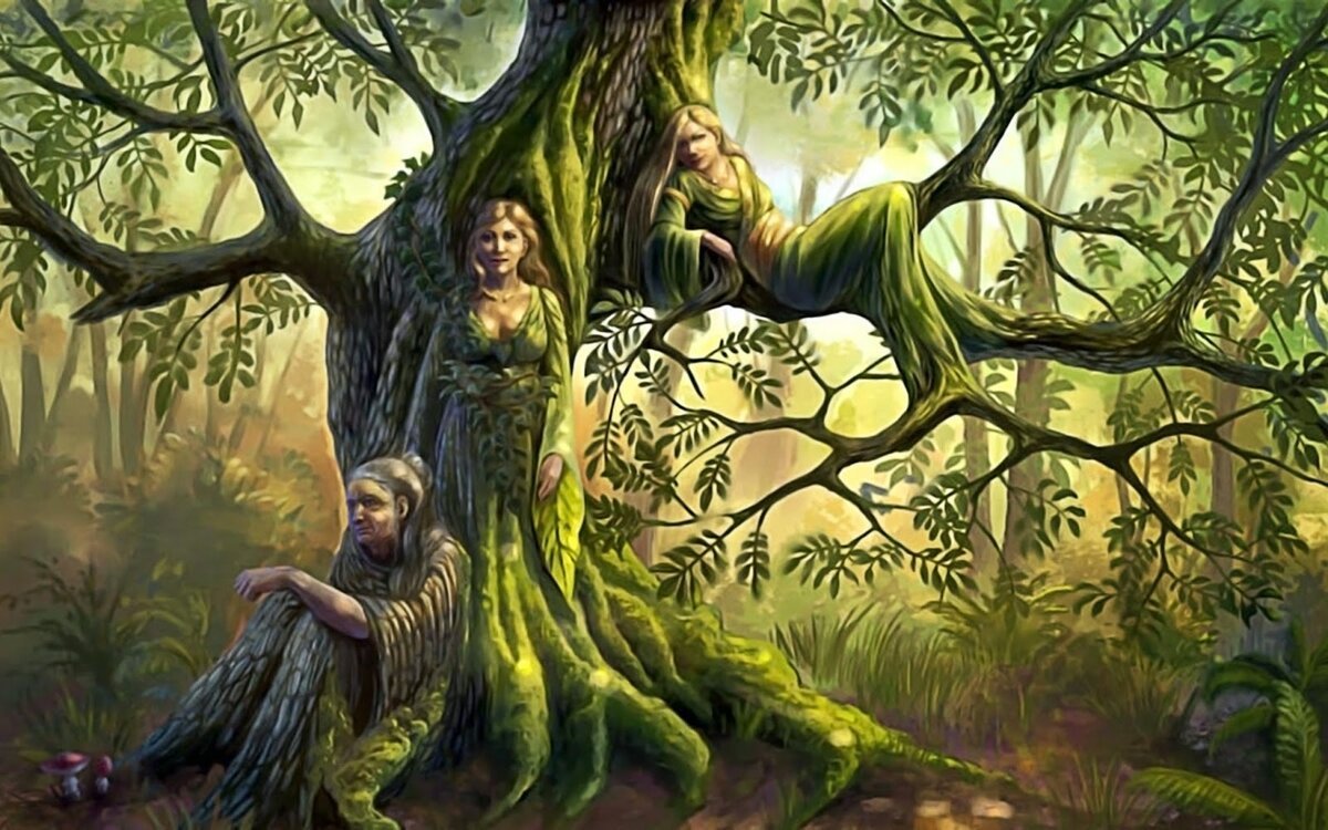 Лесная Фея Кельтская мифология