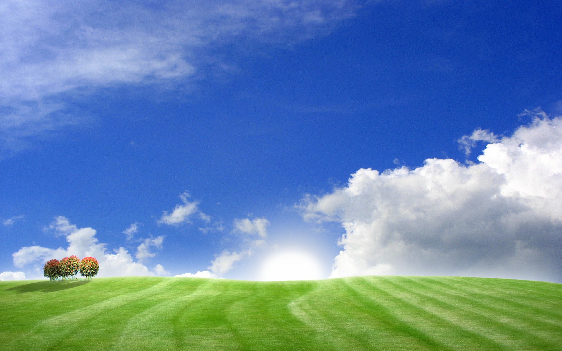 Зеленое поле и голубое небо