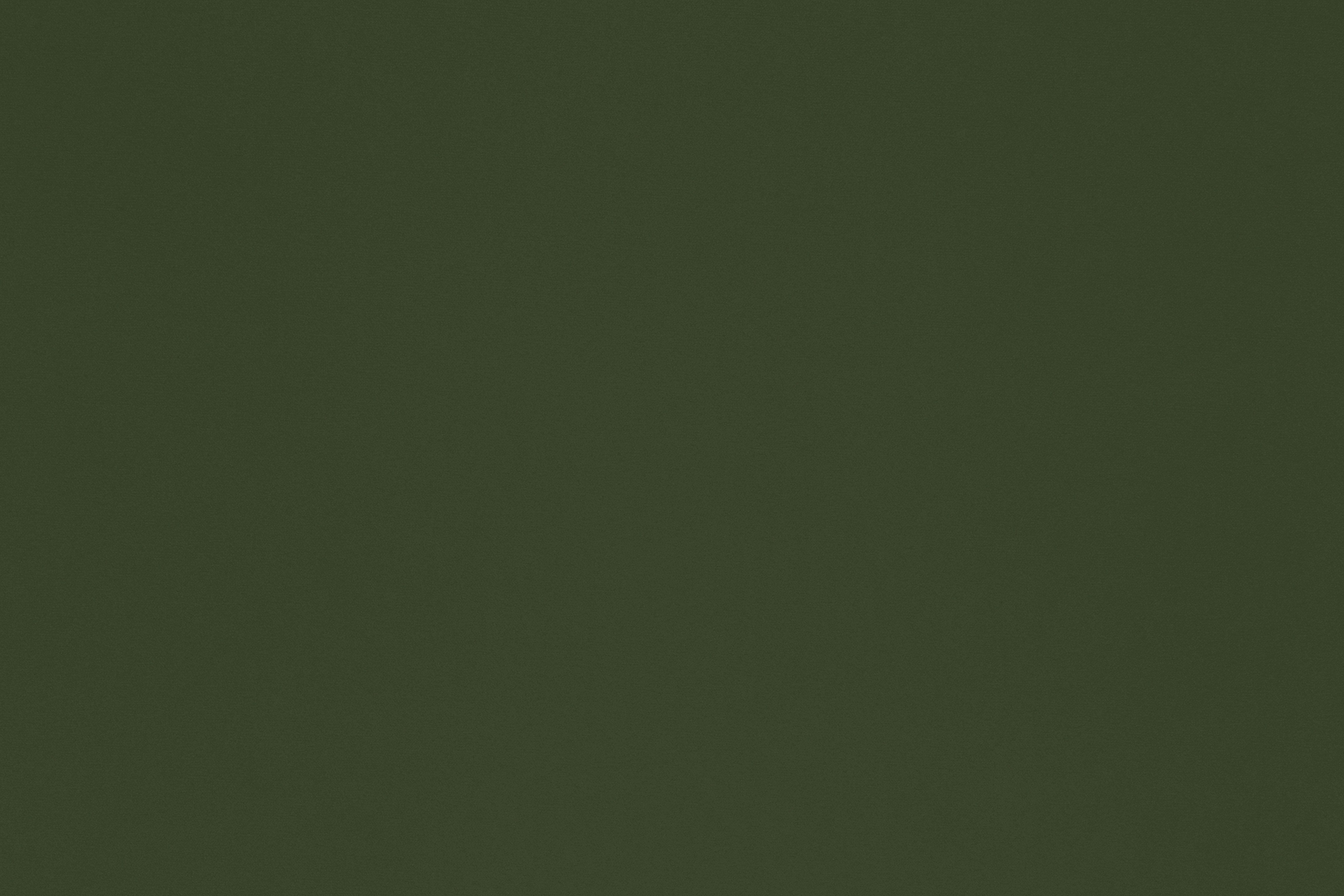 RAL 6003 Olive Green