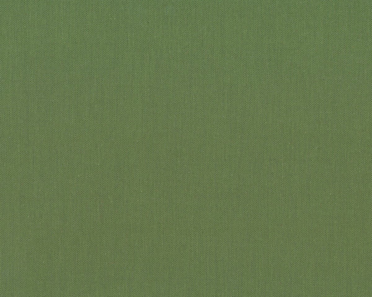Серо-зеленый цвет