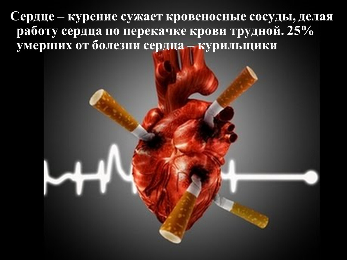 Сигарета вредно для человека. Влияние курения на сердечно сосудистую систему. Курение и сердечно сосудистая система. Влияние вредных привычек на сердечно сосудистую систему.