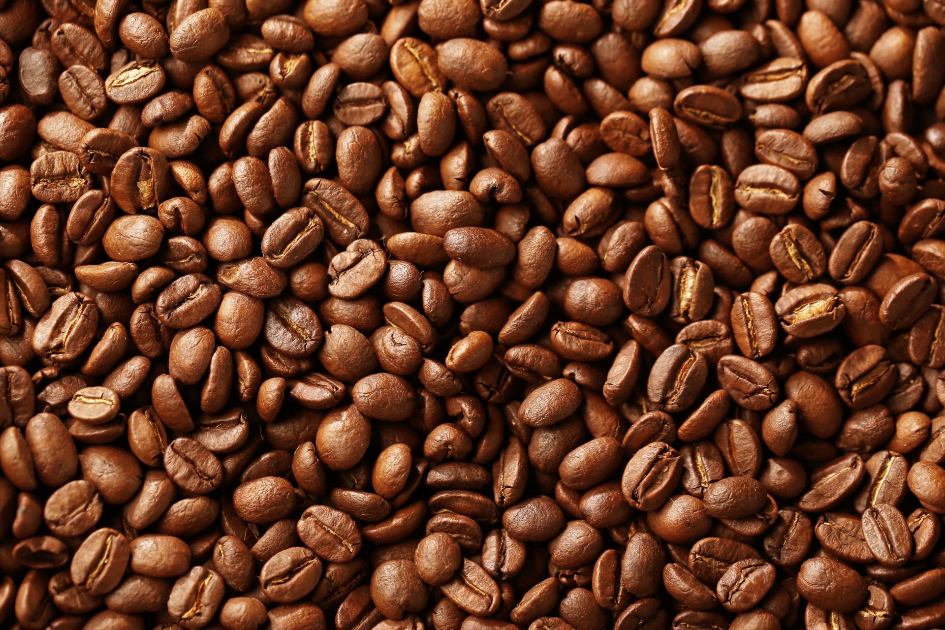 Кофейное зерно картинка