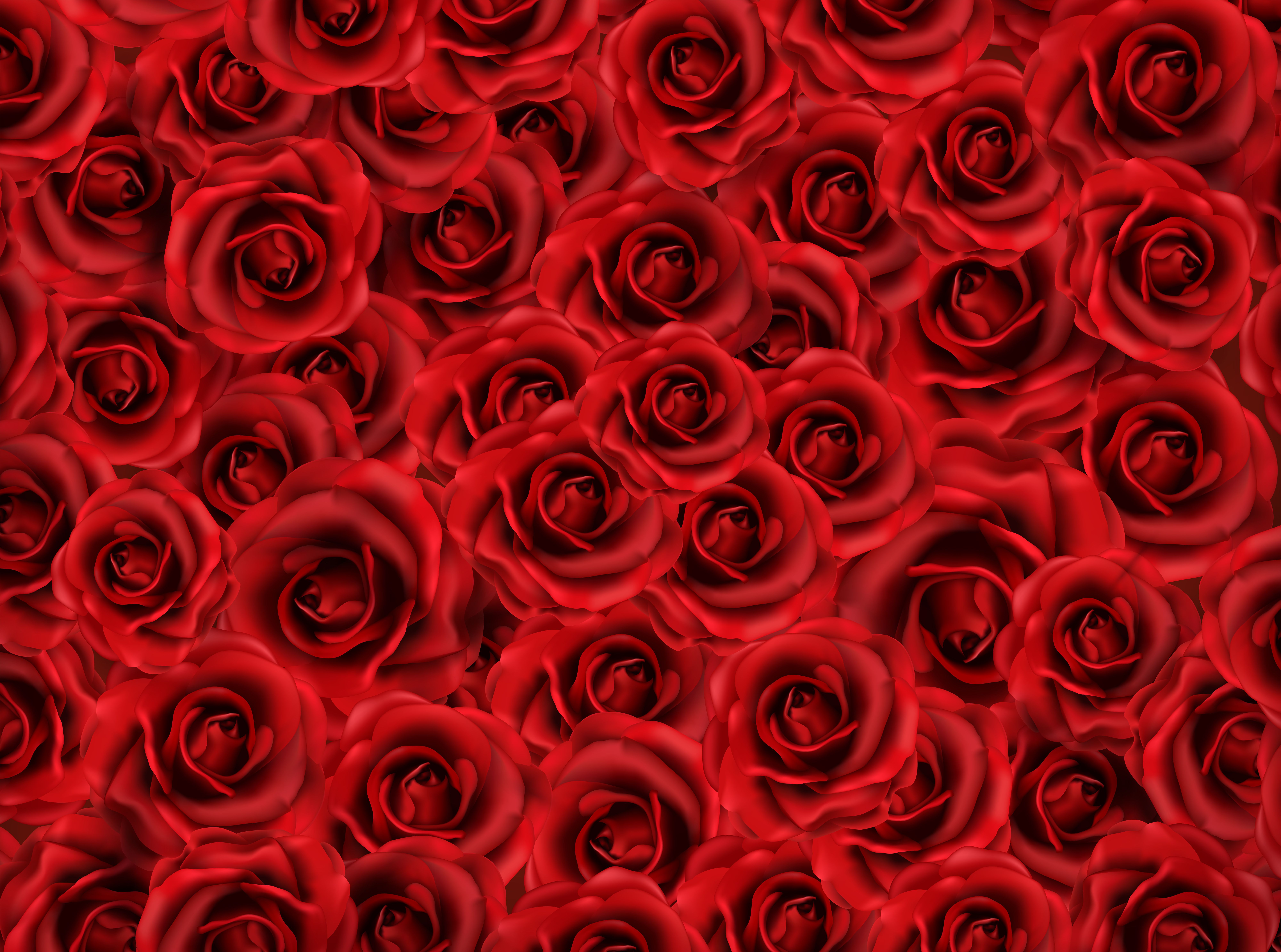 Фон розочки. Красный цветок. Красные розы. Цветы розы красные. Розы фон.