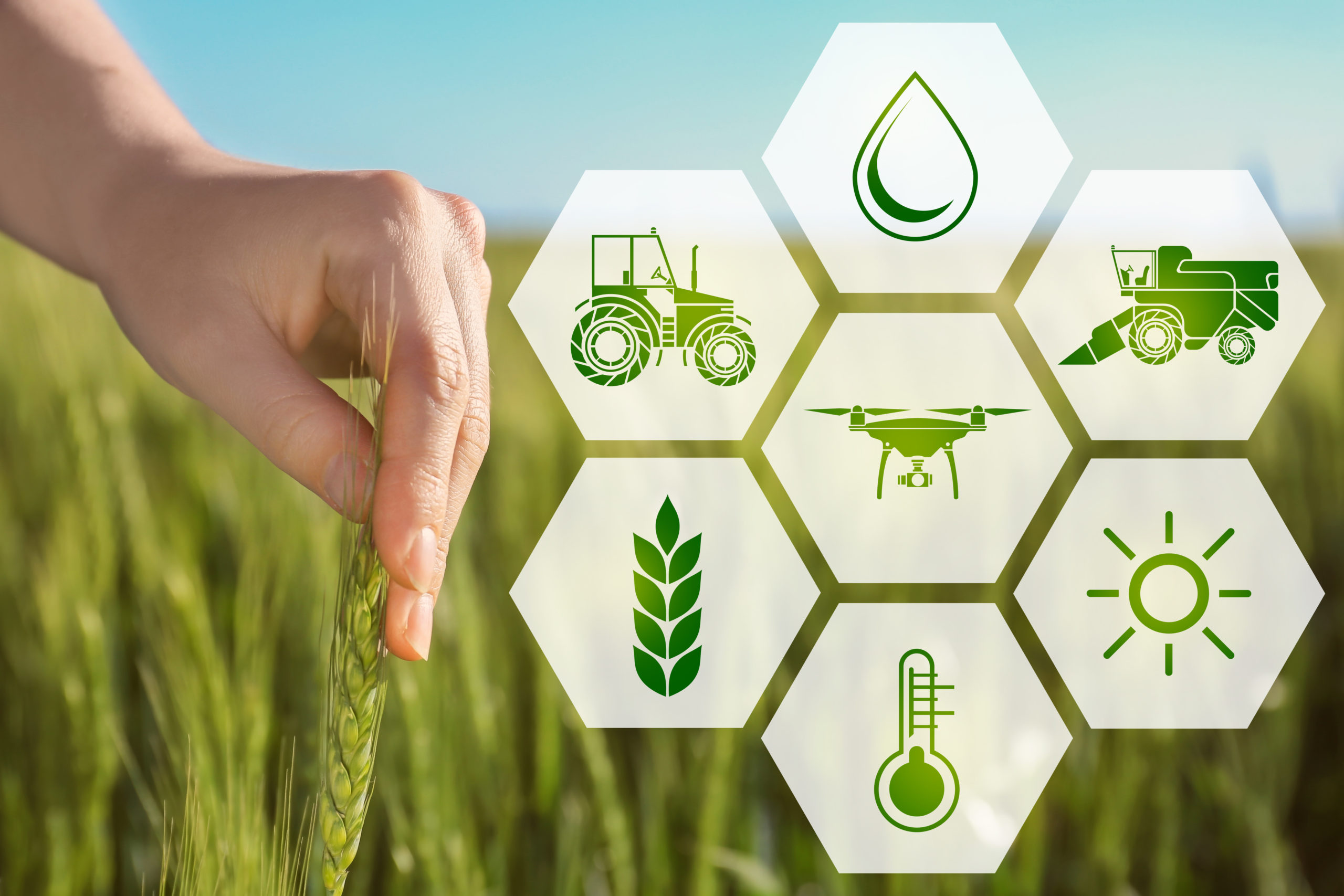 Зеленые технологии в сельском хозяйстве