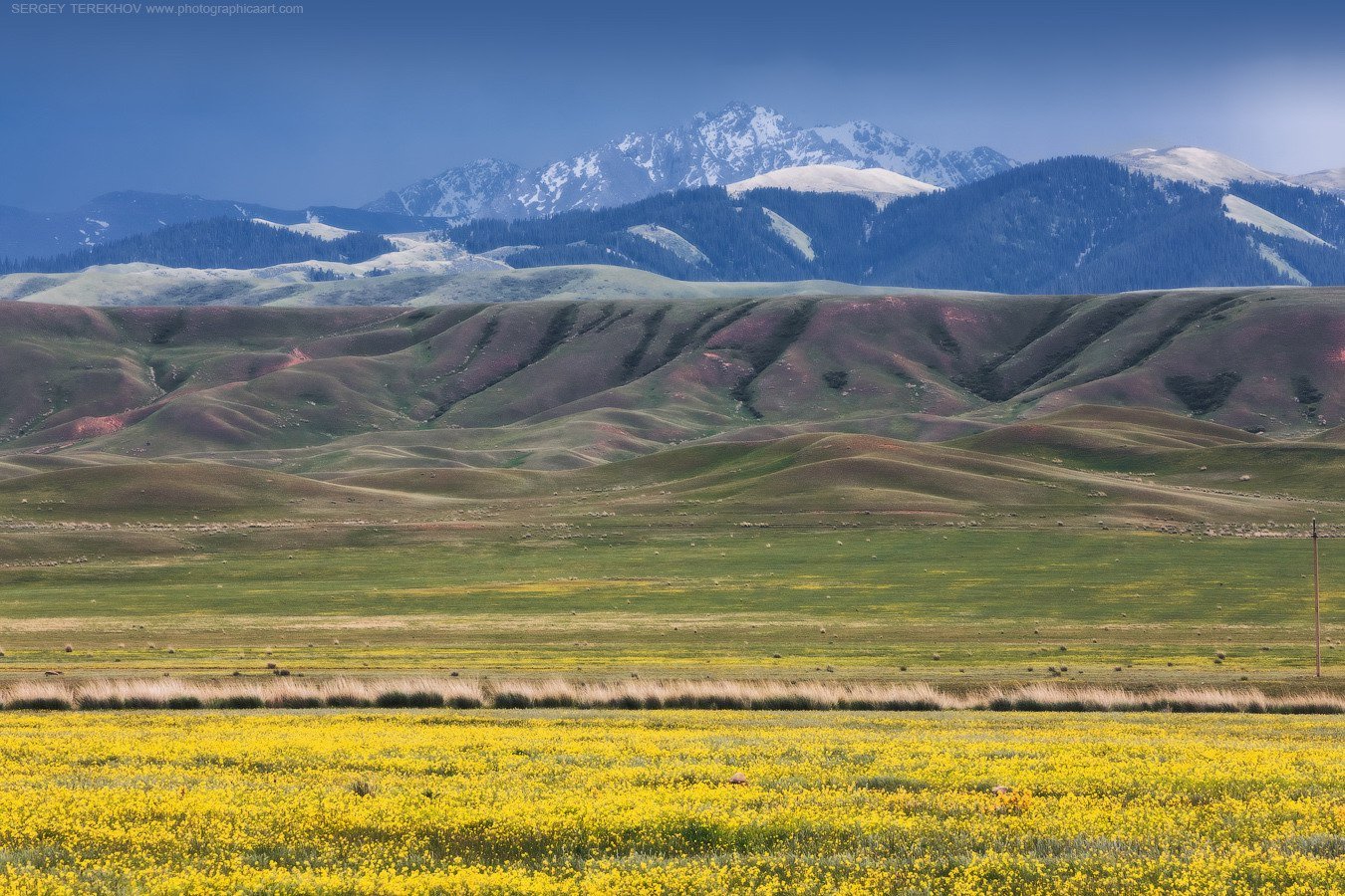 природа северный казахстан