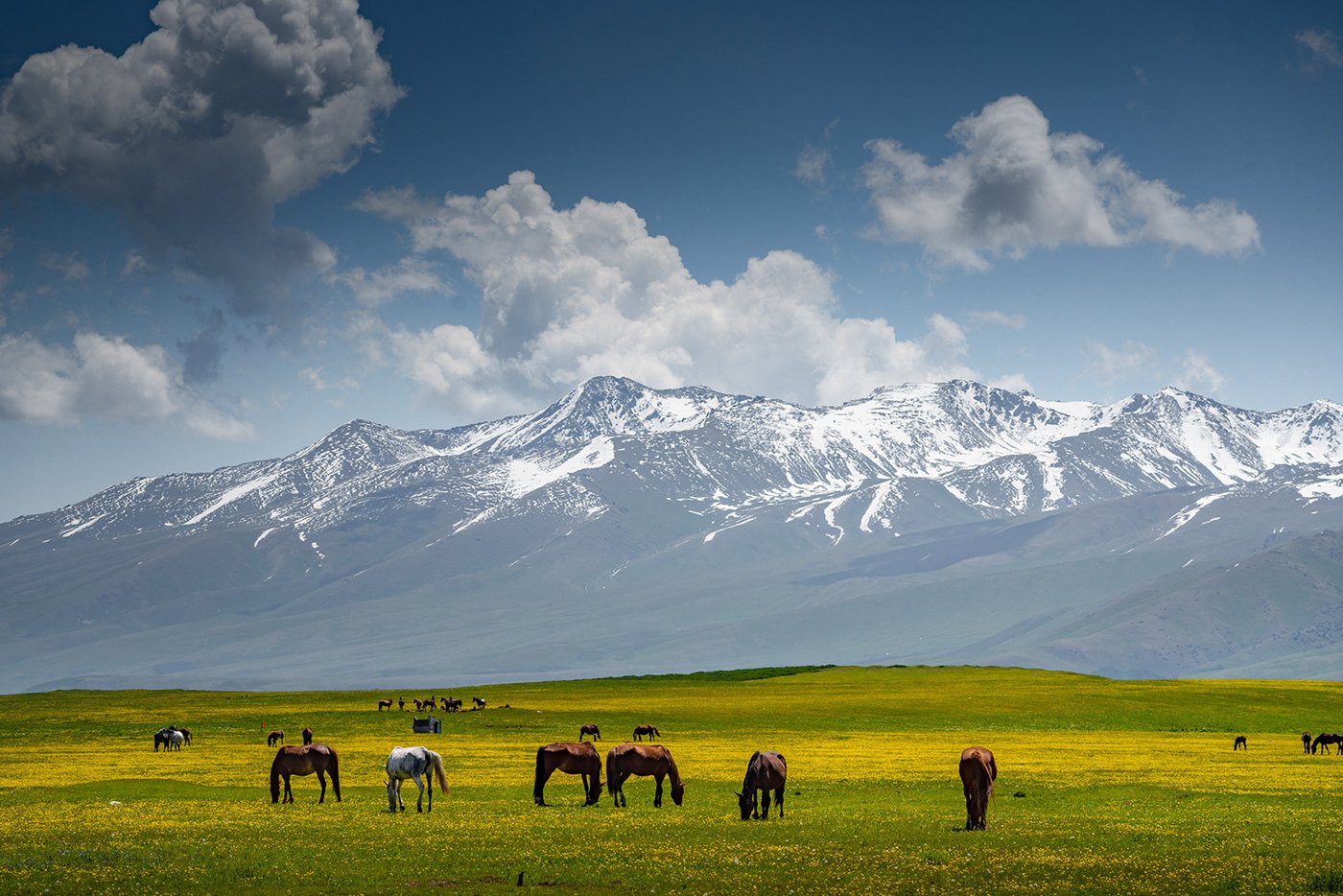 казахстан равнины