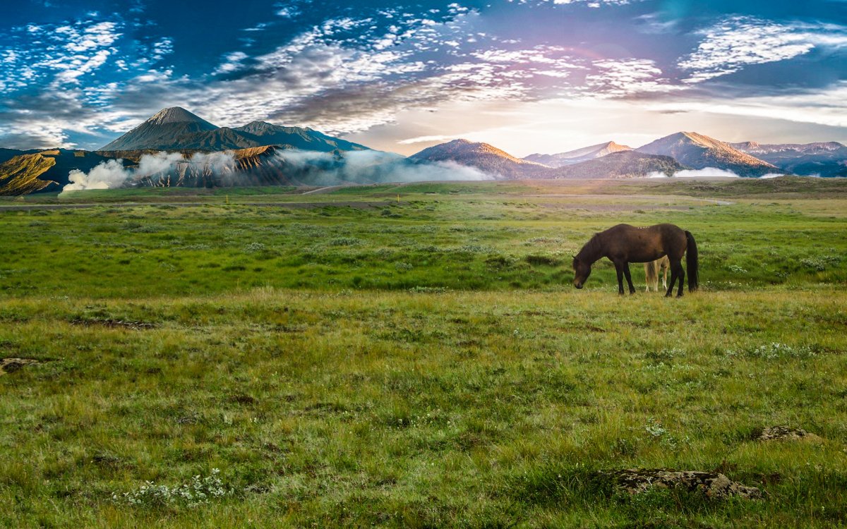 Казахстан пастбище Жайляу горы лошади