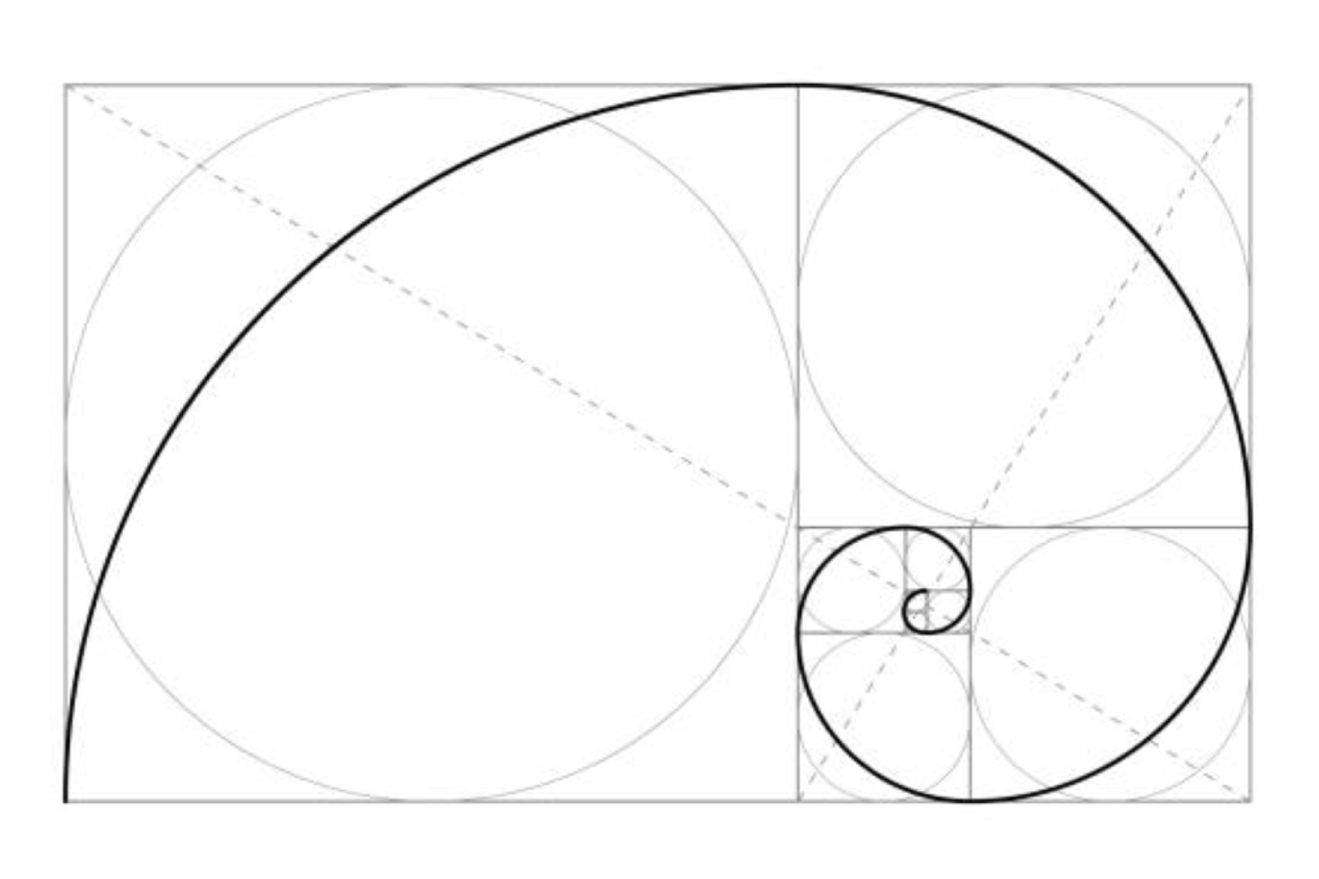 Спираль Фибоначчи круг