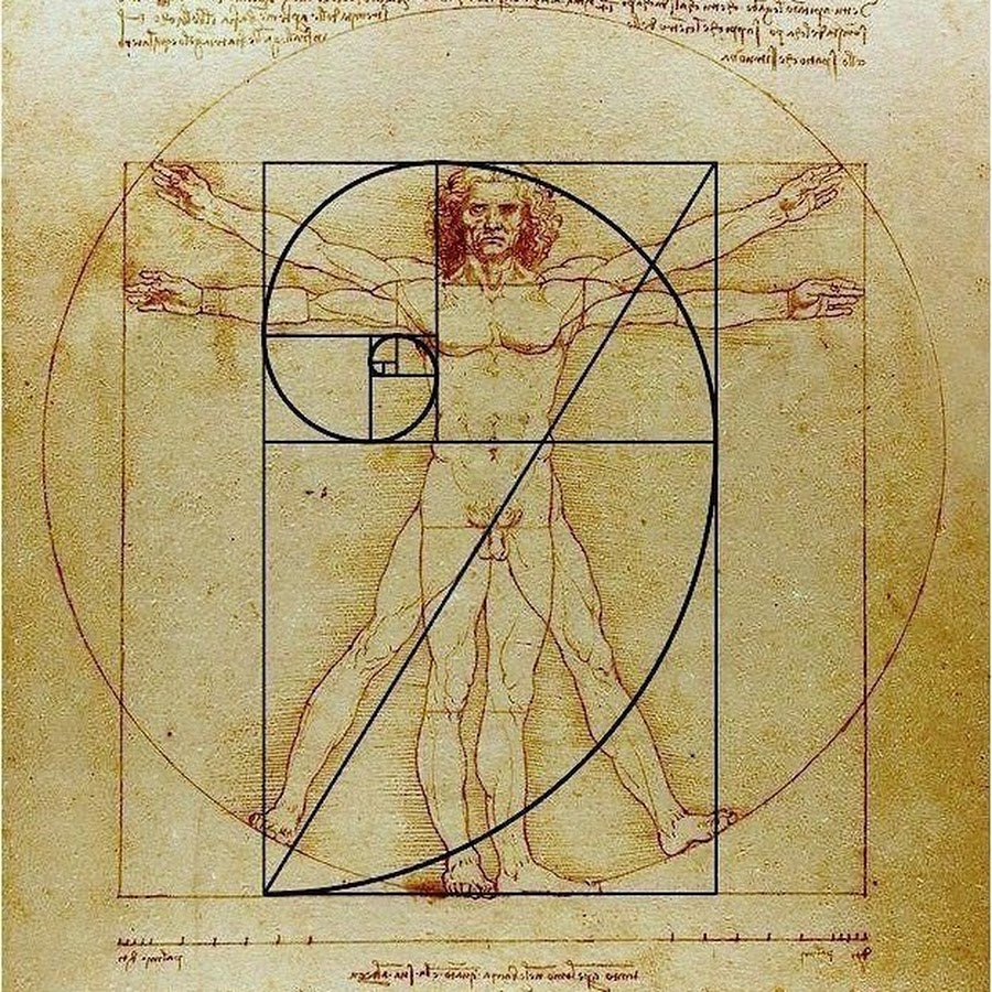 Золотое сечение Леонардо да Винчи