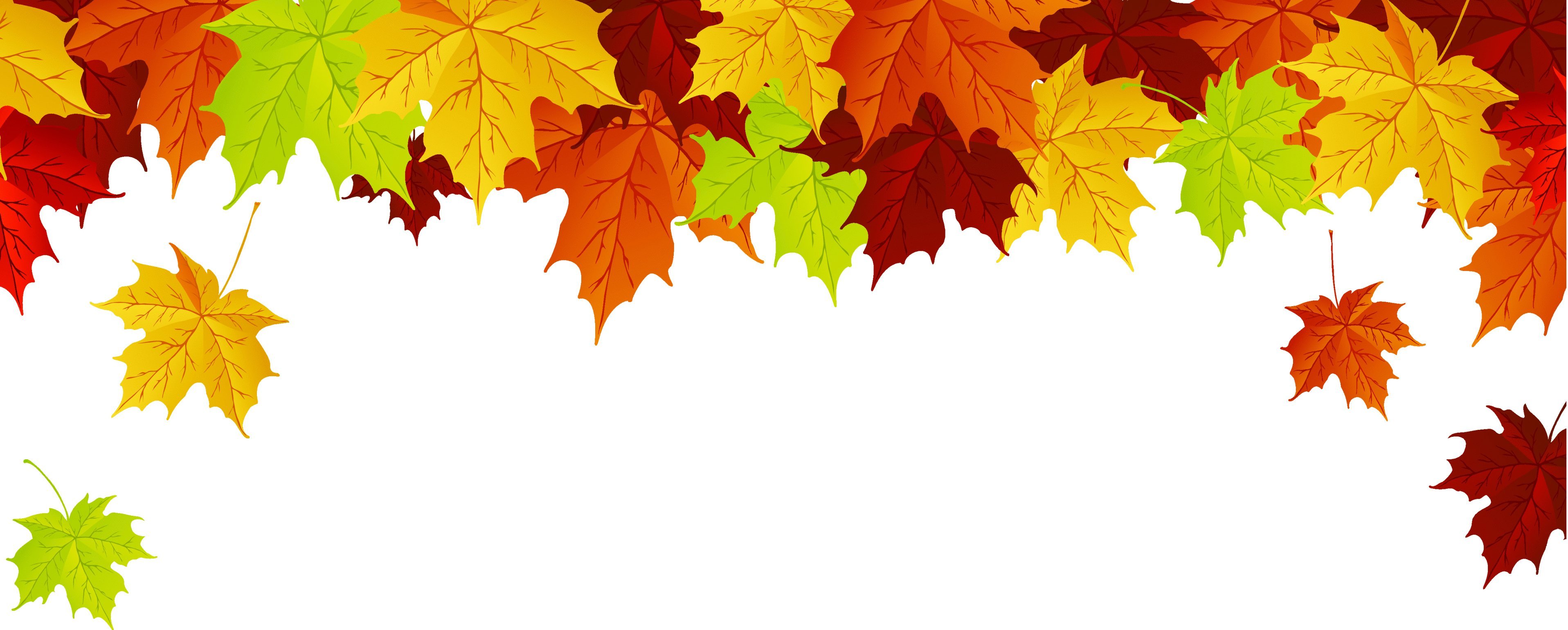 Листья желтые по краям. Осенние листья на прозрачном фоне. Кленовый лист на белом фоне. Осенняя листва на прозрачном фоне. Кленовый лист на прозрачном фоне.