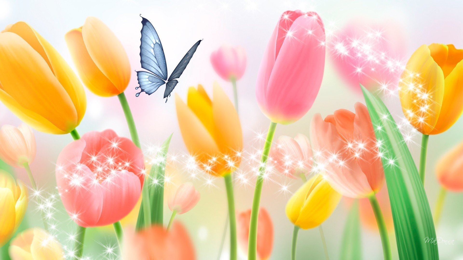 Фон тюльпаны с бабочками