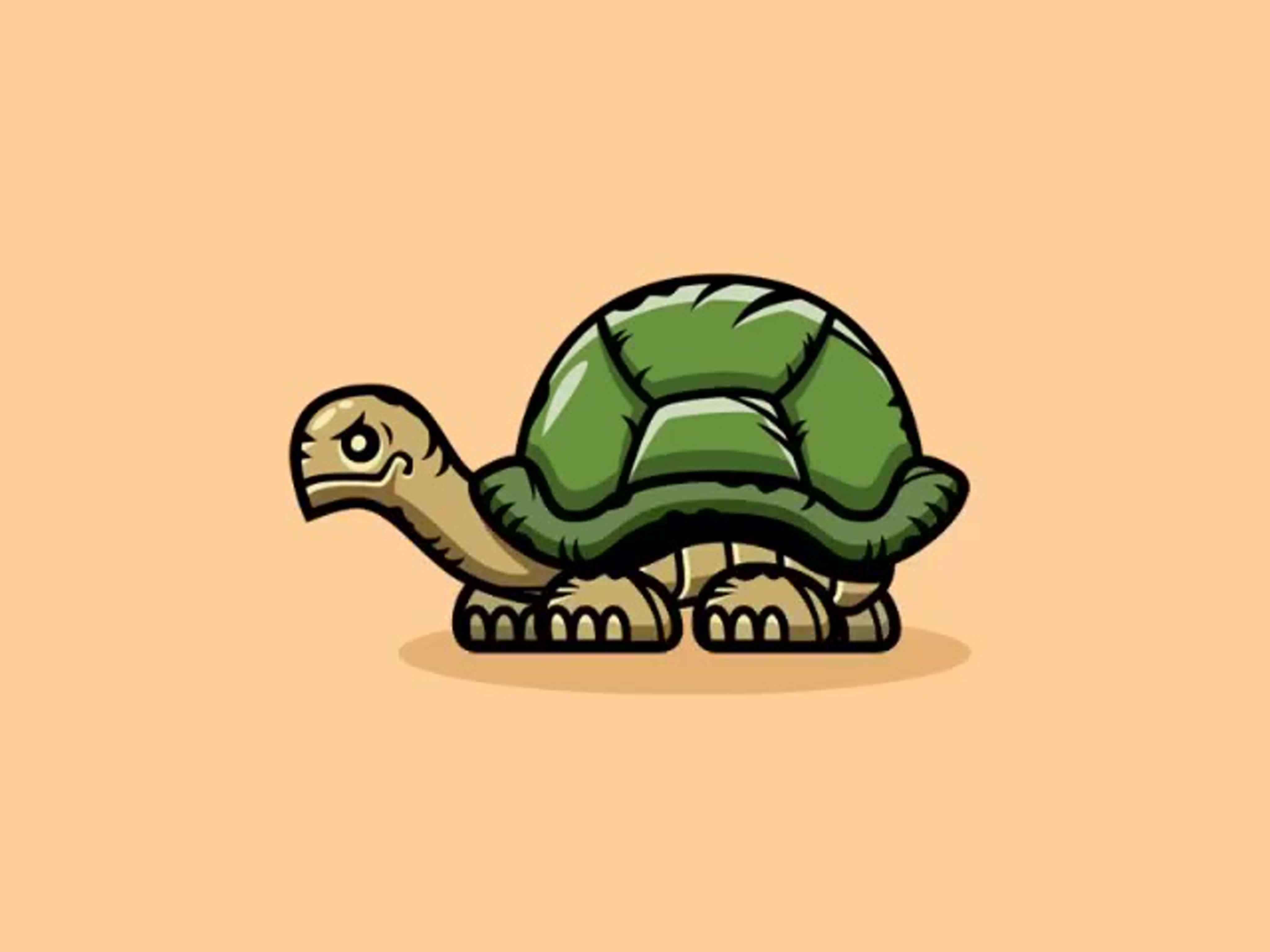 Черепаха ползет